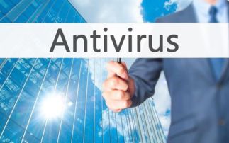 网络信息安全系统与相关软件开发概览