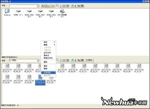 你是我的眼 巧用网络人自动屏幕录像与信息安全软件开发